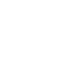 خبرة نظامية